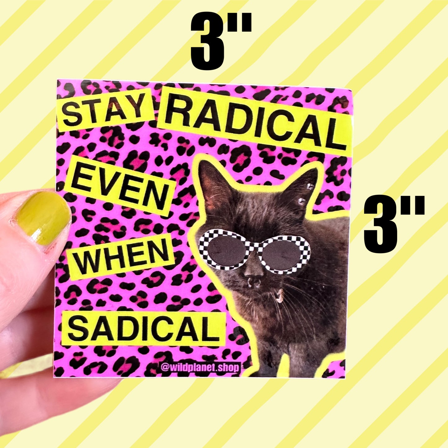 Sticker pink leopard print “stay radical even when sadical” with a punk rock cat in sunglasses 3” x 3”