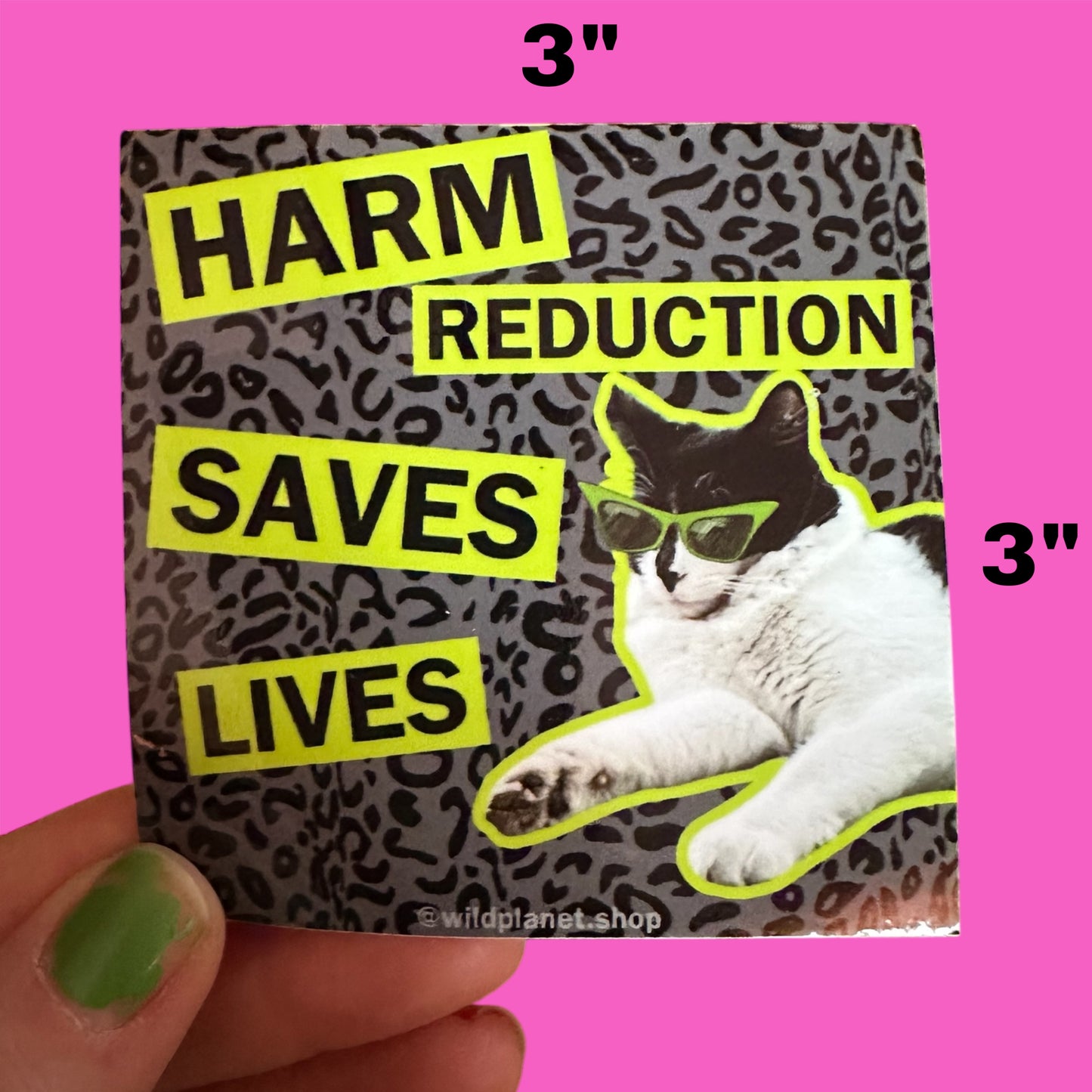PICK ONE of Three New Stickers Slutty Hotties with Tummy Aches who Love Drug Users