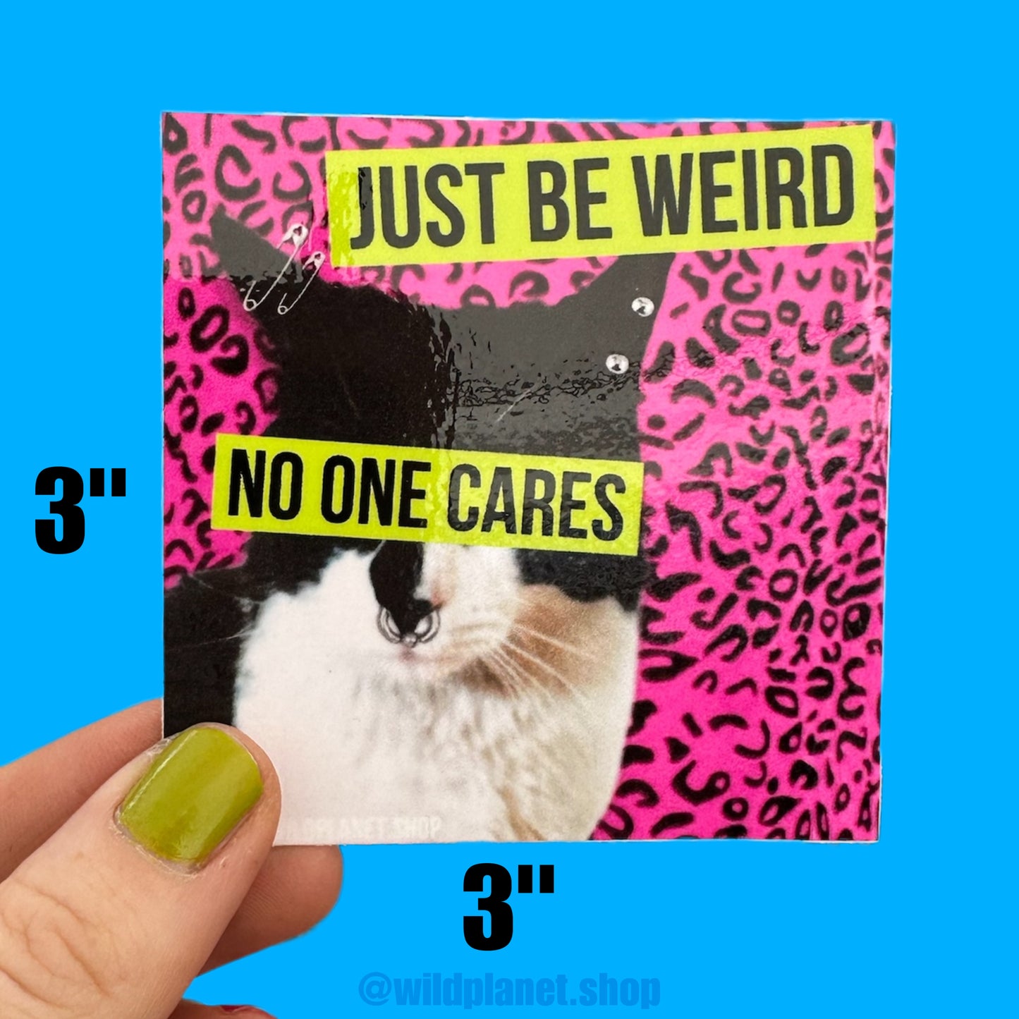 Just Be Weird No One Cares Water Bottle or Laptop 3” x 3” Square Sticker with Cool Punk Cat