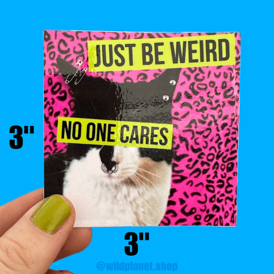 Just Be Weird No One Cares Water Bottle or Laptop 3” x 3” Square Sticker with Cool Punk Cat