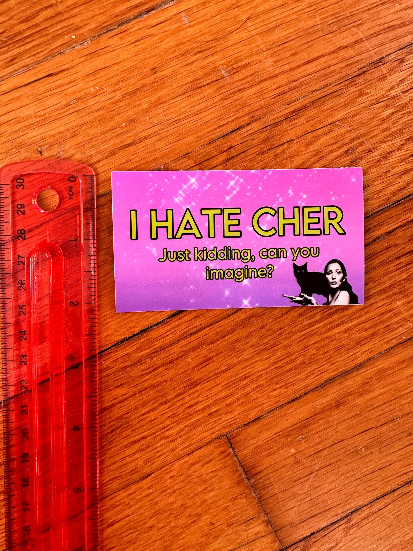 I Hate Cher sticker Just Kidding No one Hates Cher! Funny sticker