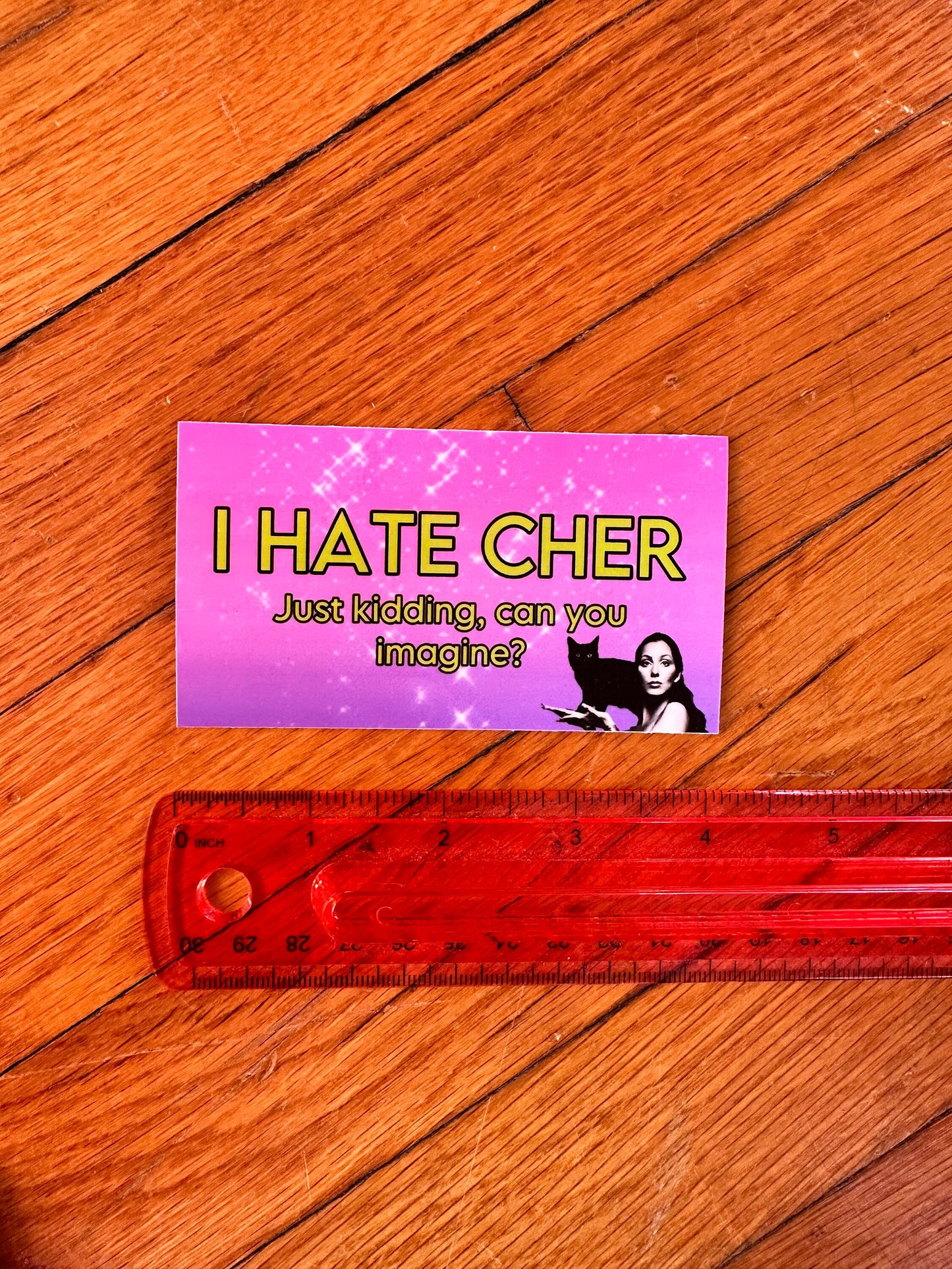 I Hate Cher sticker Just Kidding No one Hates Cher! Funny sticker