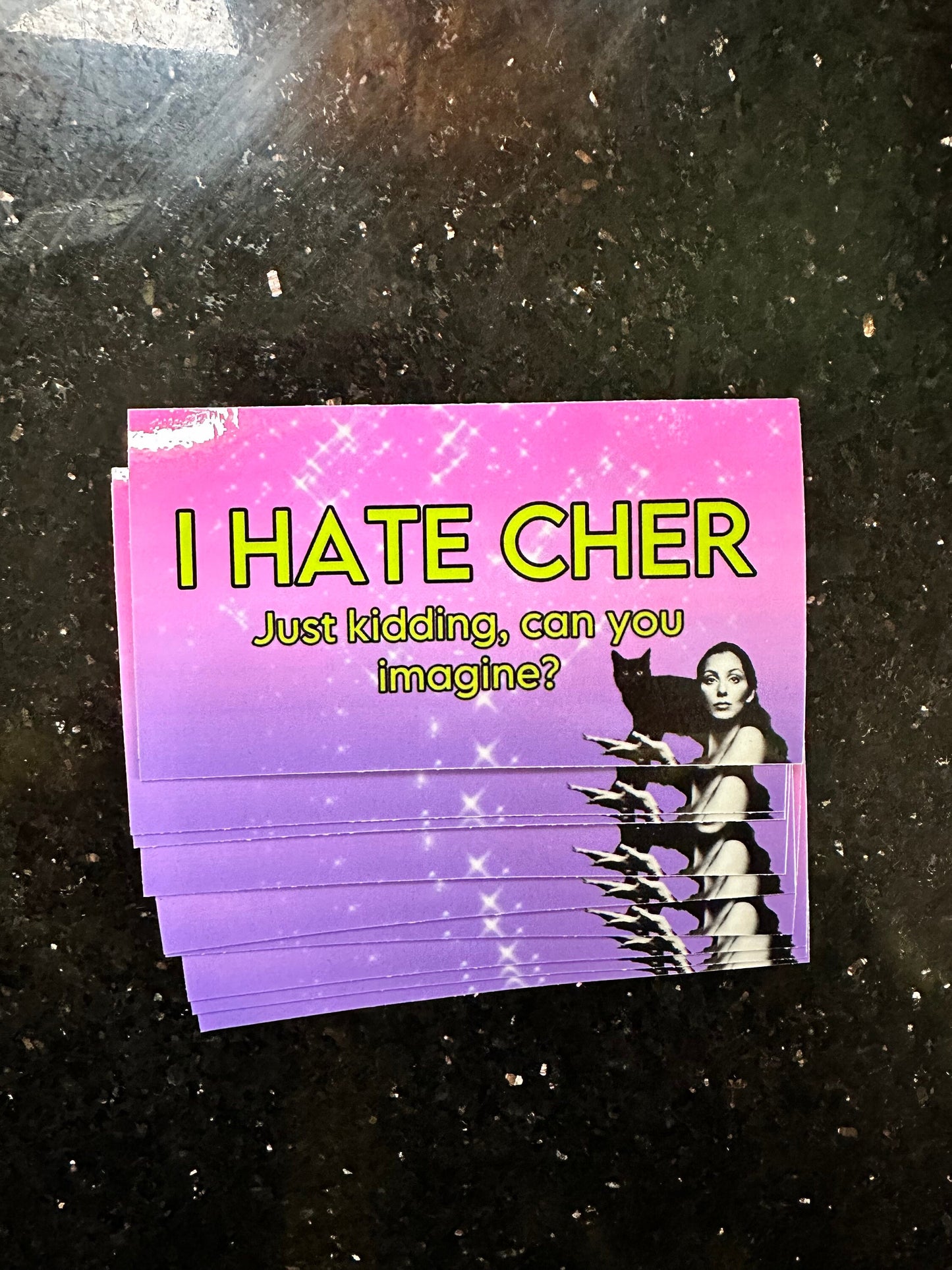 I Hate Cher sticker Just Kidding No one Hates Cher! Funny sticker