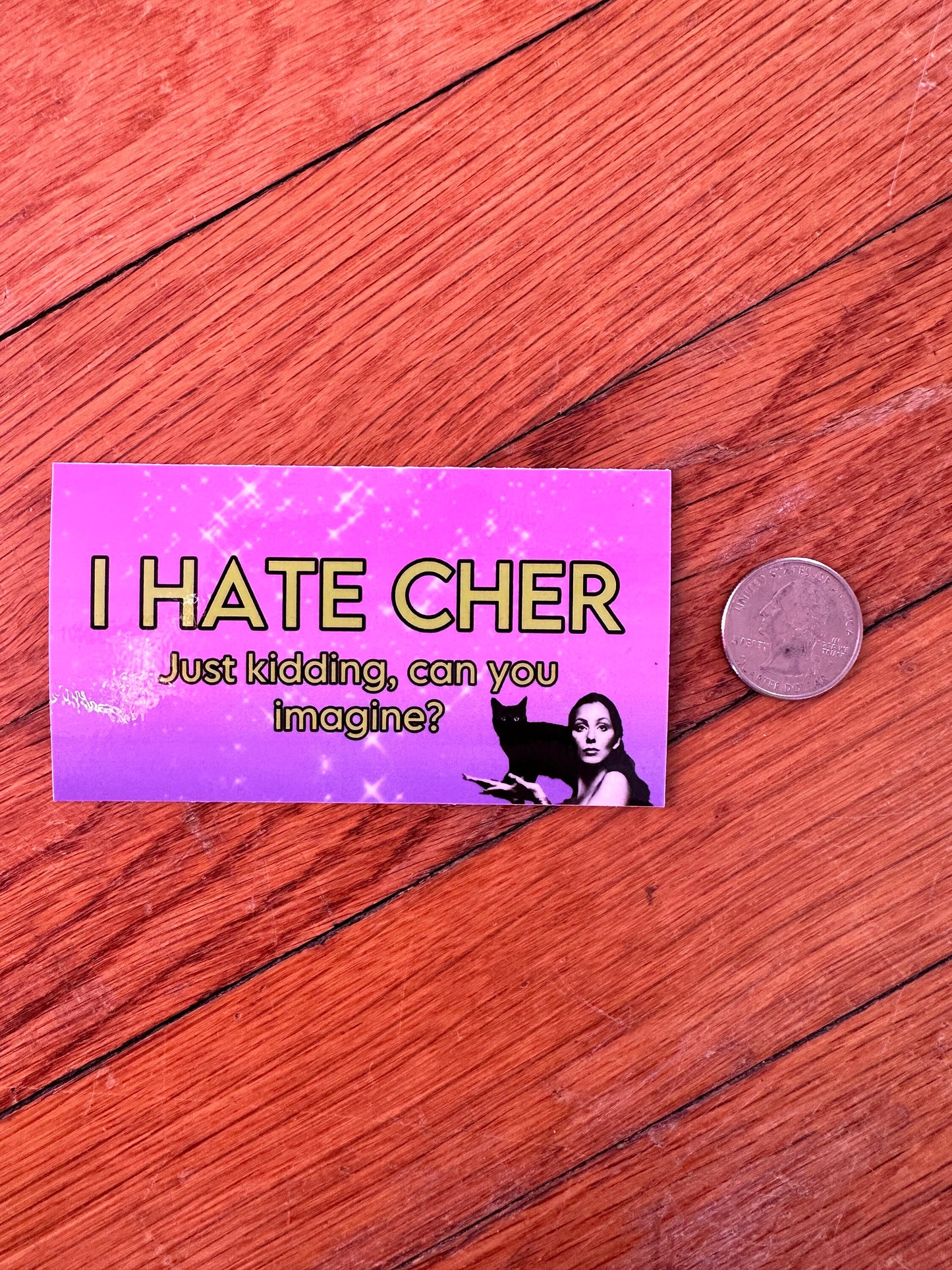 I Hate Cher sticker Just Kidding No one Hates Cher! Funny sticker